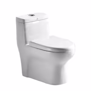 Керамический унитаз QZ-6817