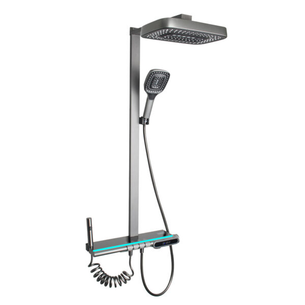 Shower Heads HT-9005